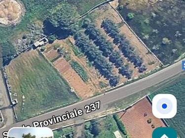 foto principale del terreno