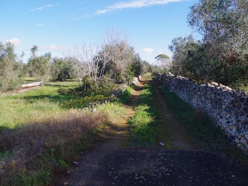 foto principale del terreno