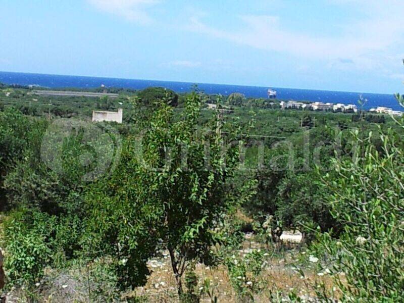 foto principale del terreno