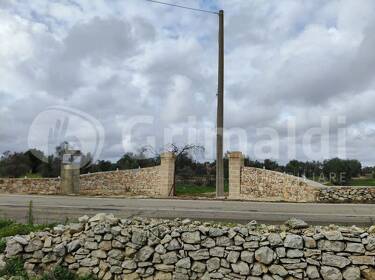 foto principale del terreno