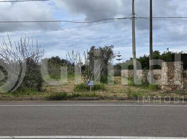 foto principale del terreno