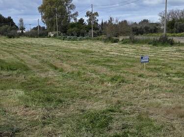 foto principale del terreno