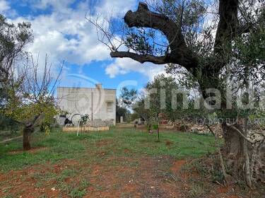 foto principale del terreno