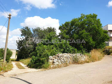 foto principale del terreno