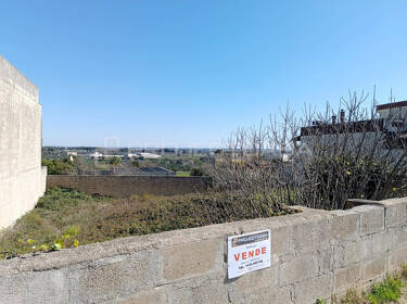 foto principale del terreno