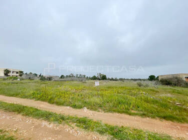 foto principale del terreno