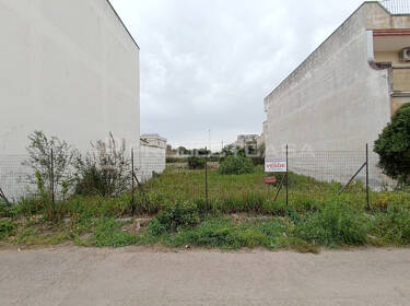 foto principale del terreno