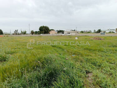 foto principale del terreno