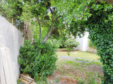 foto principale del terreno