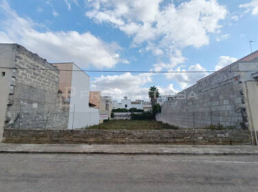 foto principale del terreno