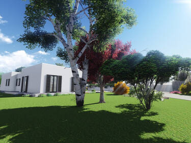 foto principale del terreno