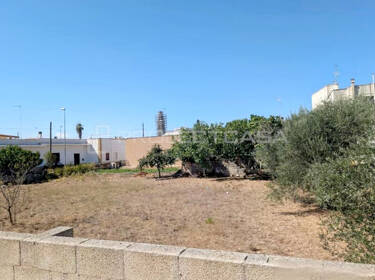 foto principale del terreno