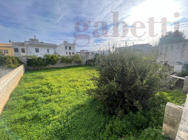 foto principale del terreno