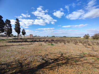 foto principale del terreno