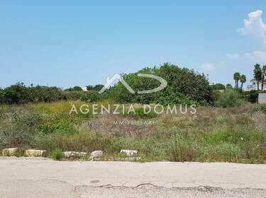 foto principale del terreno