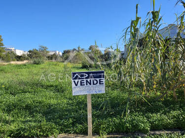 foto principale del terreno