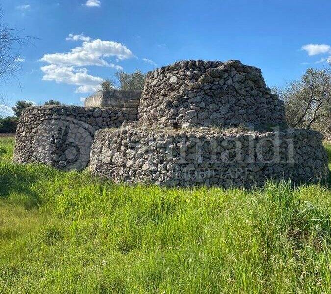 foto principale del terreno