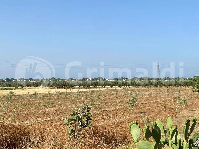 foto principale del terreno
