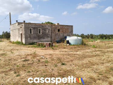 foto principale del terreno