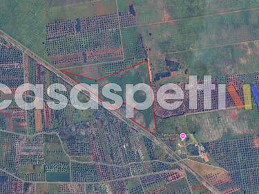 foto principale del terreno