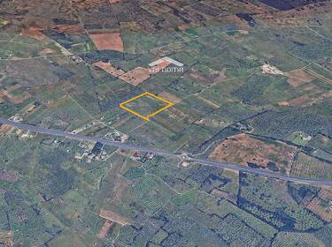 foto principale del terreno