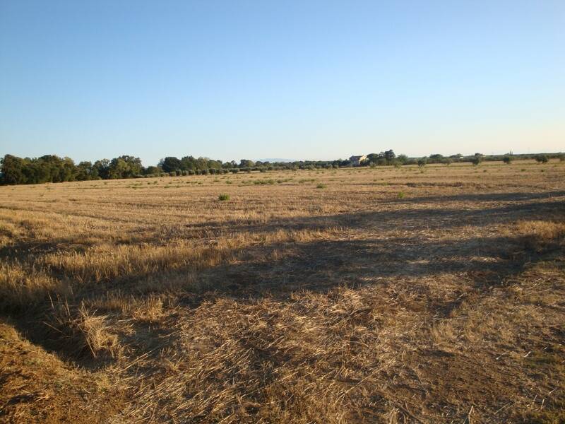 foto principale del terreno