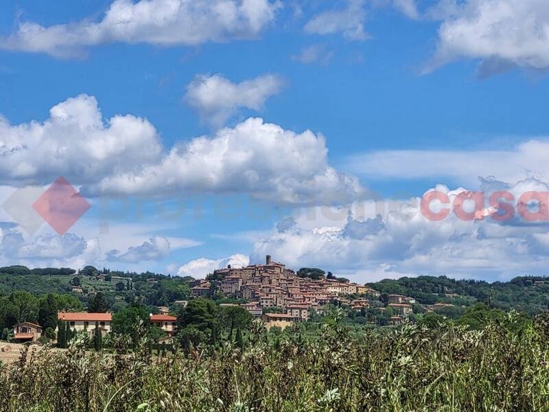 foto principale del terreno