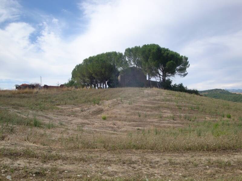 foto principale del terreno