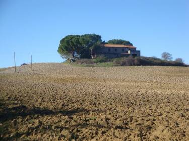 foto principale del terreno
