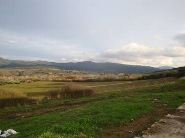 foto principale del terreno