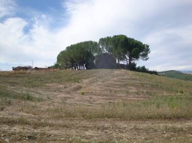 foto principale del terreno