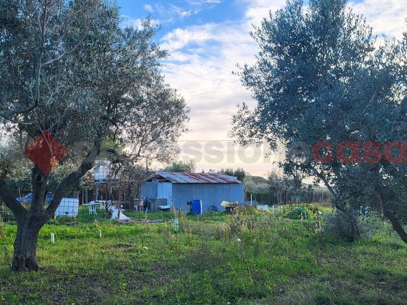 foto principale del terreno