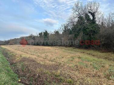 foto principale del terreno