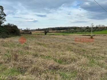 foto principale del terreno