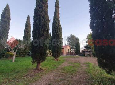 foto principale del terreno
