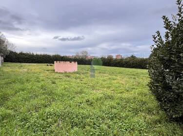 foto principale del terreno