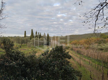 foto principale del terreno