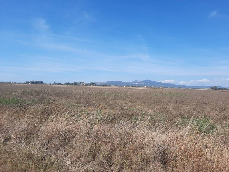 foto principale del terreno