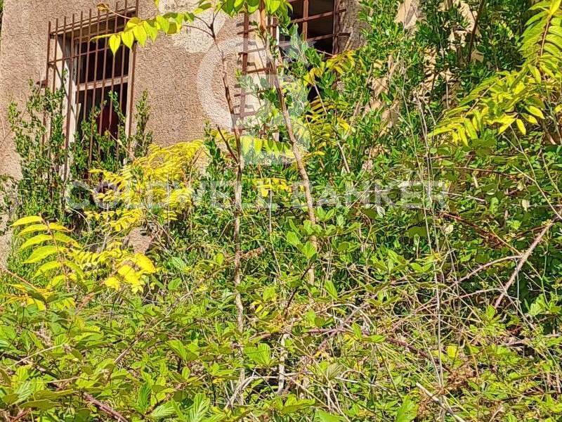 foto principale del terreno