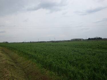 foto principale del terreno