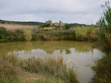 foto principale del terreno