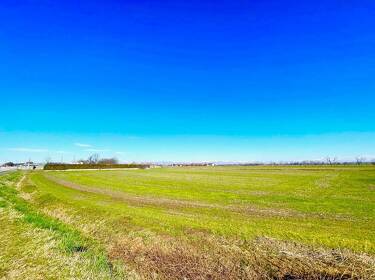 foto principale del terreno