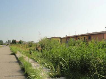 foto principale del terreno