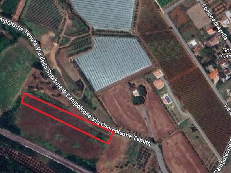 foto principale del terreno
