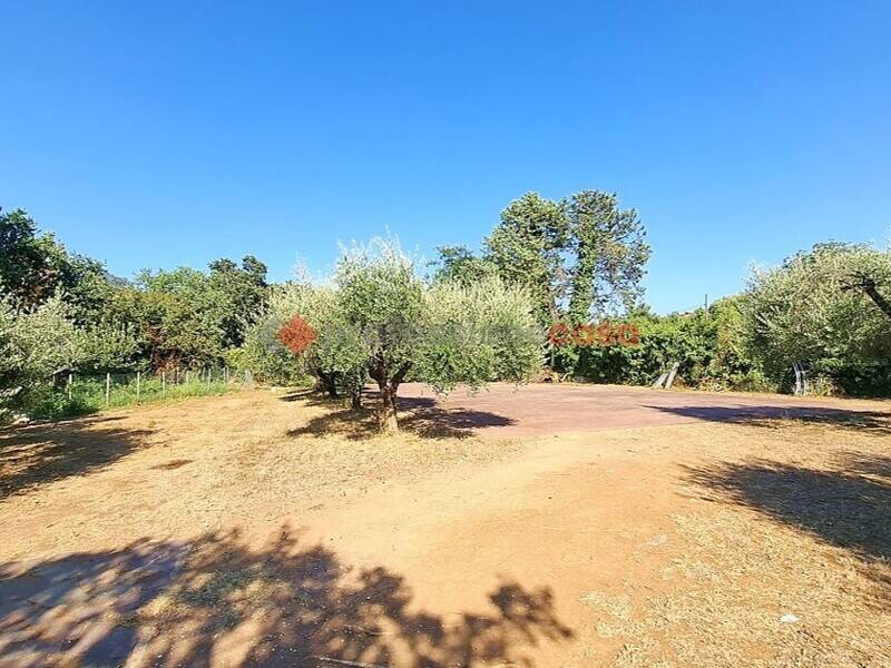 foto principale del terreno