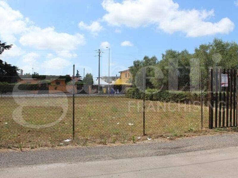 foto principale del terreno