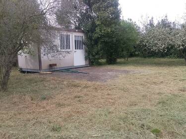 foto principale del terreno