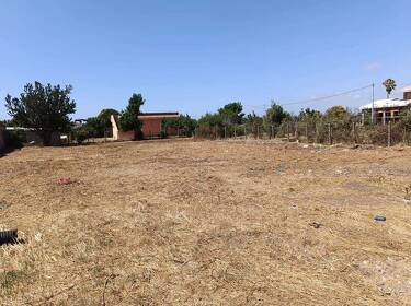 foto principale del terreno