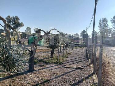 foto principale del terreno