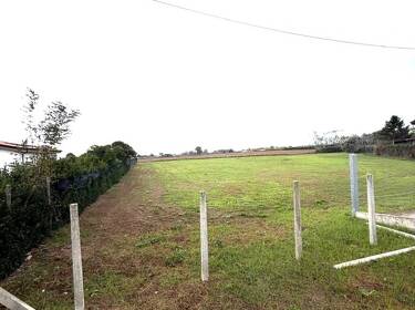 foto principale del terreno